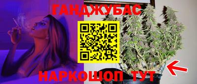 ешки Будённовск