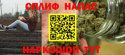 ешки Будённовск