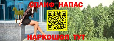 ешки Будённовск