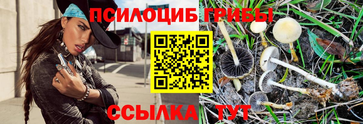 Тельмана  Галлюциногенные грибы мицелий  Псилоцибиновые грибы Magic Shrooms  Вход с VPN 