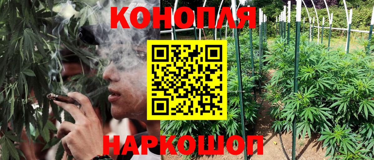 Канабис ГИДРОПОН  Вход с VPN  Тельмана  Конопля сатива  Канабис Amnesia  Бошки марихуана AK-47 